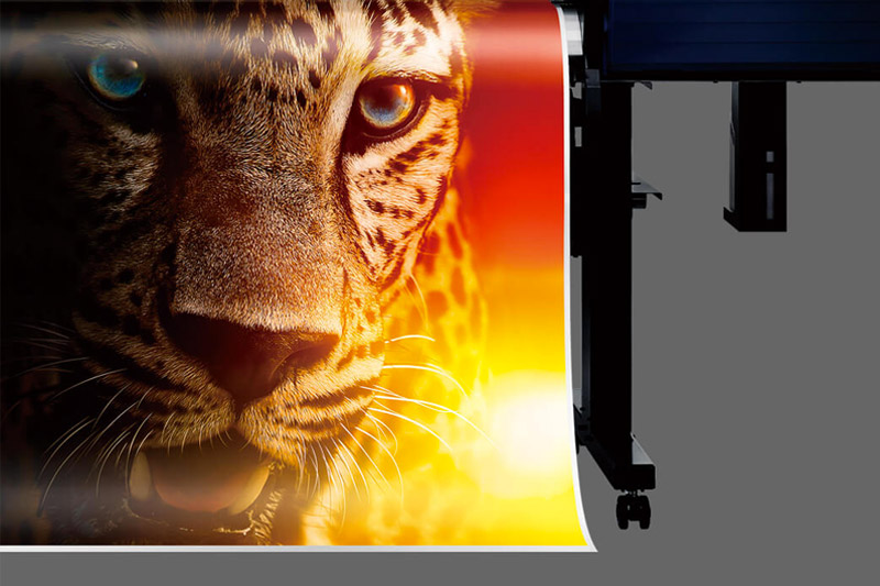 TrueVIS VG2 Series Printer/Cutters