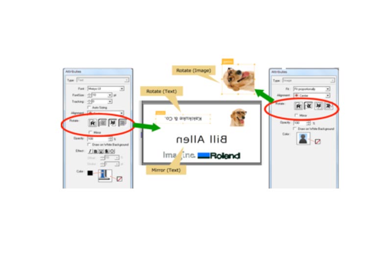Variable Data Printing
