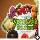 vegetable festival wall decal